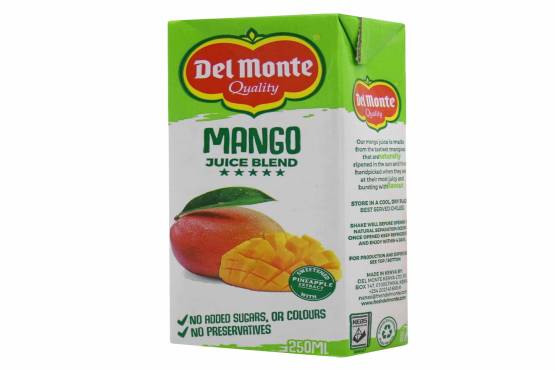 DELMONTE MANGO 250ML